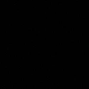 Meet your Posher, Ivanna